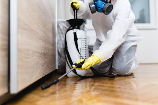Best Termite Control Services  in Untain View, MO