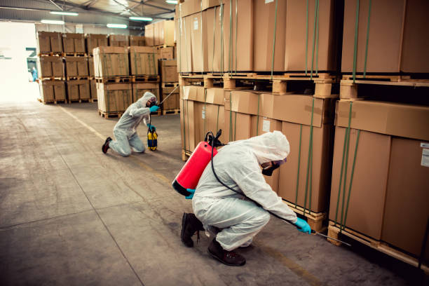 Best Exterminator Services  in Untain View, MO
