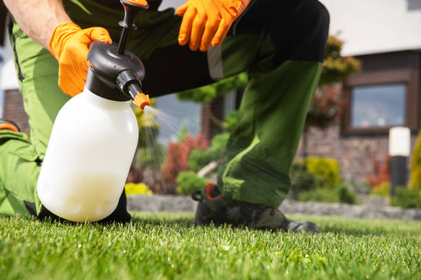 Best Affordable Pest Control Services  in Untain View, MO