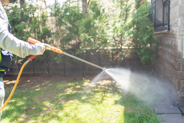 Best Pest Prevention Services  in Untain View, MO
