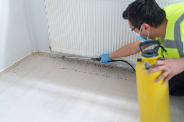 Best Commercial Pest Control Services  in Untain View, MO