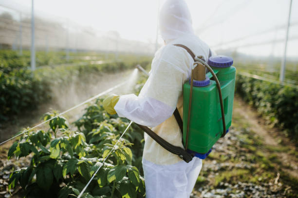 Best Best Pest Control Companies  in Untain View, MO